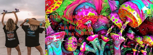 стафф Костерёво