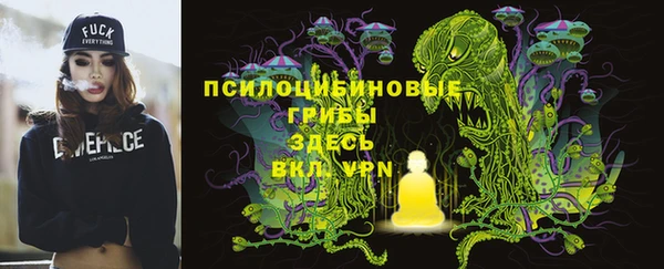 метадон Коряжма