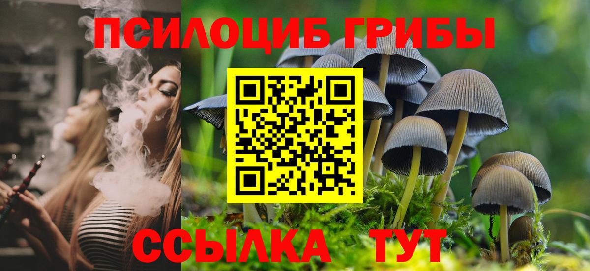 Кокаин  Вход с VPN  Масло ТГК  МЕФ  Мефедрон  Гашик  Пушкино  Гарик  Канабис  СОЛЬ CK 