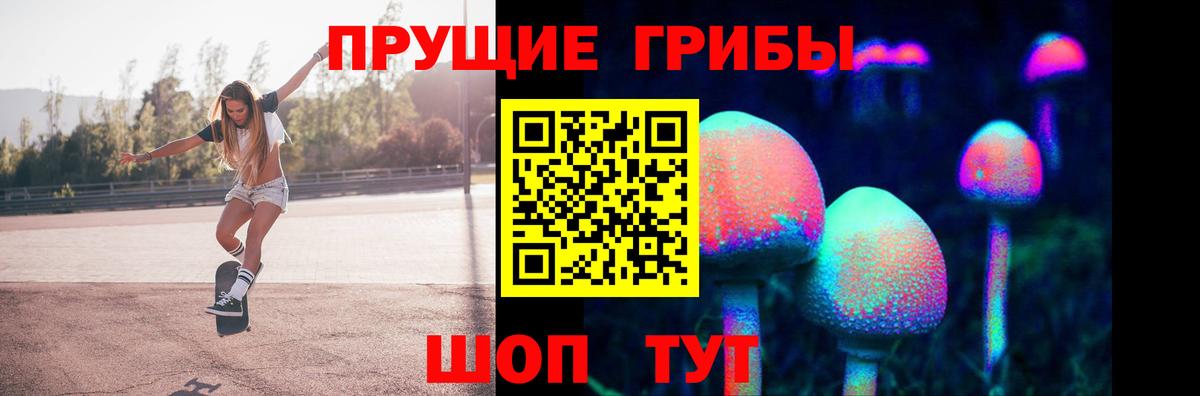 Пушкино  Псилоцибиновые грибы мухоморы  наркота  Вход с VPN 